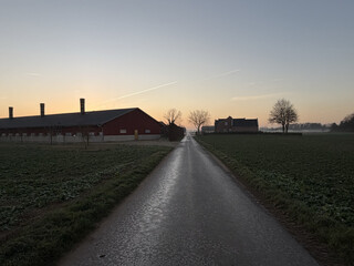 foto eines geteerten feldwegs, links ein grosser stall, einige kahle b&auml;ume am horizont, der morgenhimmel leuchtet orange-blau