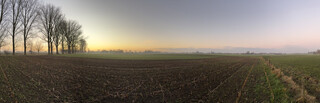panorama-foto von einem kahlen feld, man sieht im hintergrund kahle b&auml;ume und sehr weiten, organge-blauer himmel