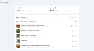 die laut google-sicht am besten laufenden seiten auf wirres.net (screenshot aus der search console, menüpunkt statistik)