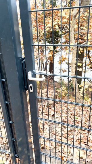 metallzaun mit t&uuml;rgriff, blick auf herbstlich gef&auml;rbte b&auml;ume und gefallene bl&auml;tter im hintergrund