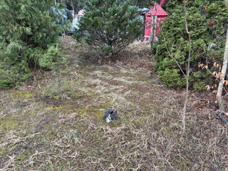 foto von der barfussstrasse auf das gel&auml;nde der ehemaligen steinmetzerei. im gras sieht man eine kleine miniatur.