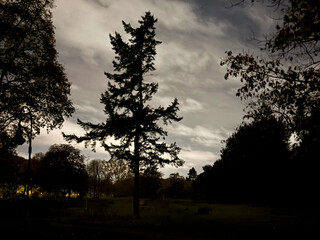 früher morgenspaziergang 28.10.2025