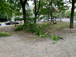 bild von abgebrochenen &auml;sten nach dem sturm gestern abend am max-josef-metzger-platz