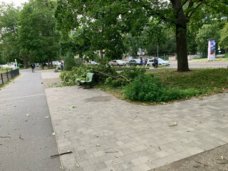 bild von abgebrochenen &auml;sten nach dem sturm gestern abend am max-josef-metzger-platz
