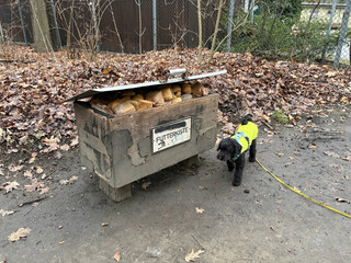 foto von der prall mit brot gef&uuml;llten futterkiste in den regbergen. das brot wird sp&auml;ter an die wildschweine im gehege verf&uuml;ttert.