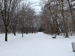 foto aus dem goethepark, man sieht kahle, dunkle b&auml;ume und etwas neuschnee, der den boden komplett bedeckt. rechts im bildrand steht eine parkbank. insgesamt ist die stimmung sehr grau.