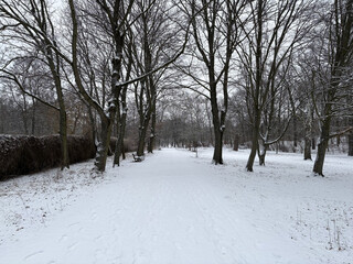 foto aus dem goethepark, man sieht kahle, dunkle b&auml;ume und etwas neuschnee, der den boden komplett bedeckt. insgesamt ist die stimmung sehr grau.