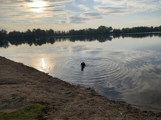 morgenspaziergang 20.4.2025
