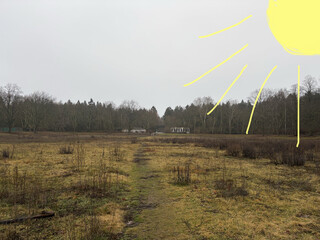 catcherwiese am fr&uuml;hen morgen des 22.12.2025, es ist tr&uuml;b und diesig. eine aufgemalte sonne suggeriert dass es sonnig gewesen sein soll.