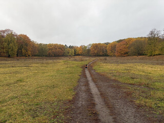 morgenspaziergang 27.10.2025