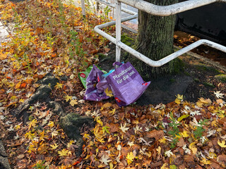 bild von mehreren rewe pfandtaschen die in der umwelt an einem baumst&uuml;mpf liegen und mit &bdquo;pfandtasche f&uuml;r die umwelt&ldquo; beschriftet sind