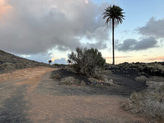 bild von einer &bdquo;vulkanwanderung&ldquo; der beifahrerin auf lanzarote