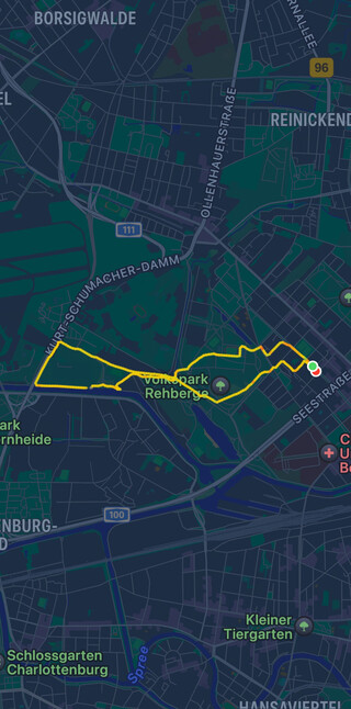 screenshot des &bdquo;trinings&ldquo; heute fr&uuml;h (8 kilometer)