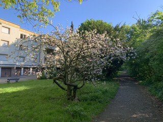 morgenspaziergang am 28.4.2025