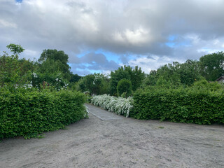 morgenspaziergang vom 4.5.2025
