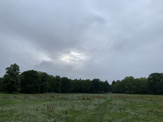 bild von der catcherwiese in den rehbergen, der himmel zeigt eine leichte sonnen&ouml;ffnung.