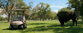 screenshot aus pluribus s01e07 der carol in einem golfcart zeigt, wie sie an einem b&uuml;ffel vorbeif&auml;hrt