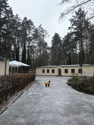 foto von frida die vor dem eingangsbereich des freilichtkino rehberge steht, dahinter sieht man wie sich eine sichtachse in den baumwipfeln abzecihnet