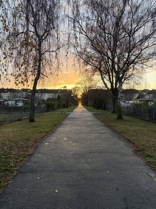 foto vom sonnenaufgang in der kleingartensiedlung &bdquo;togo&ldquo;