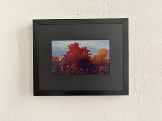 der switchbot-&bdquo;art displays&ldquo; it einem meter abstand fotografoert. das angezeigte bild von einem herbstlich-rot-leuchtenden baum auf dem e-ink-display sieht etwas blass aber ganz OK aus.