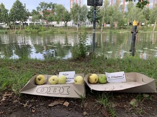 bild von &auml;pfeln &bdquo;zum mitnehmen&ldquo; am hohenzollernkanl in berlin.