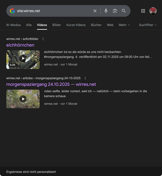 screenshot der videos die google f&uuml;r wirres.net im index hat