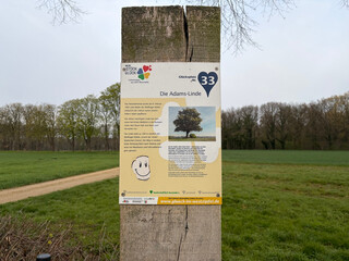 infoschild an adams linde mit der geschichte des baums