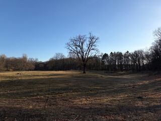 92cc98934100d249.jpg