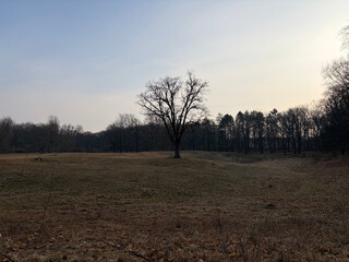 d6997f8066990f08.jpg
