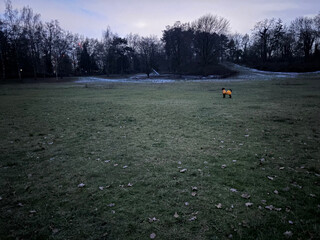 Goethepark