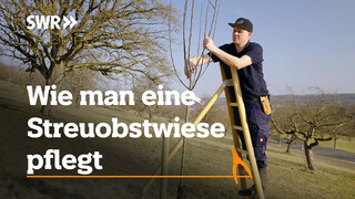 YouTube Video Vorschaubild