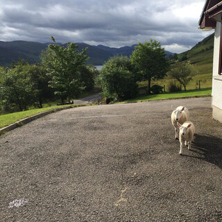 Photo by felix schwenzel on August 01, 2015. Keine Fotobeschreibung verf&uuml;gbar..