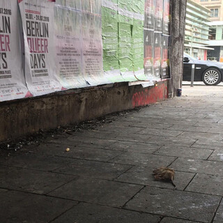 Photo by felix schwenzel in Alexanderplatz Berlin. Keine Fotobeschreibung verf&uuml;gbar..
