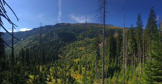 Photo by felix schwenzel in Krkono&scaron;e. Keine Fotobeschreibung verf&uuml;gbar..