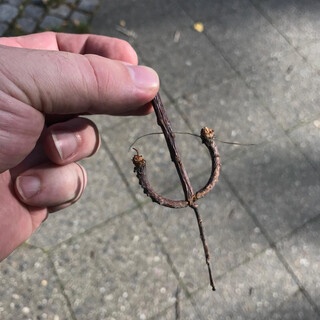 Photo by felix schwenzel in Krumme Lanke. Keine Fotobeschreibung verf&uuml;gbar..