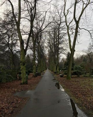 Photo by felix schwenzel on December 09, 2017. Keine Fotobeschreibung verf&uuml;gbar..