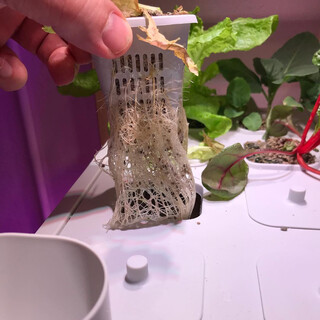 2019-04-13_06-15-49_UTC_2.jpg