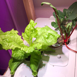 2019-04-13_06-15-49_UTC_3.jpg
