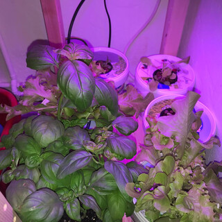 2019-05-05_18-03-32_UTC_3.jpg