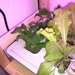 2019-05-05_18-03-32_UTC_2.jpg