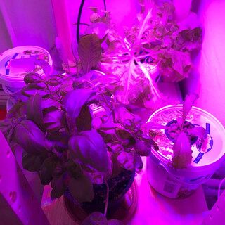 2019-06-08_16-21-14_UTC_6.jpg