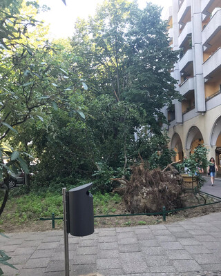 Photo by felix schwenzel on June 19, 2019. Keine Fotobeschreibung verf&uuml;gbar..