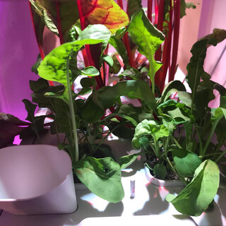 2019-06-27_06-34-46_UTC_2.jpg