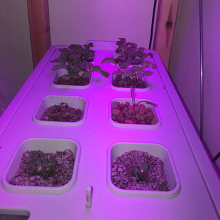 2019-06-27_06-34-46_UTC_4.jpg