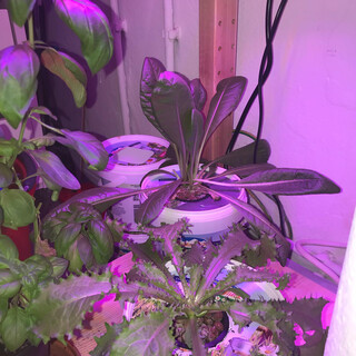 2019-06-27_06-34-46_UTC_6.jpg