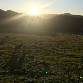 Photo by felix schwenzel in Rotes Moor In Der Rh&ouml;n. Keine Fotobeschreibung verf&uuml;gbar..