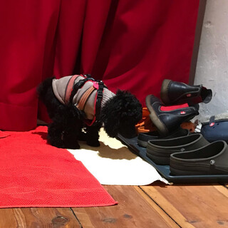 Photo by felix schwenzel on December 01, 2019. Keine Fotobeschreibung verf&uuml;gbar..
