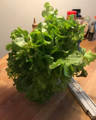 Photo by felix schwenzel on December 10, 2019. Keine Fotobeschreibung verf&uuml;gbar..