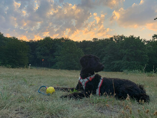 Photo by felix schwenzel in Volkspark Rehberge. Keine Fotobeschreibung verfügbar..