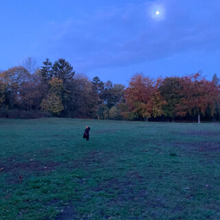 Photo by felix schwenzel in Goethepark. Keine Fotobeschreibung verf&uuml;gbar..
